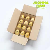 [직수입] 필리핀 카라바오 꿀 생망고 1kg 2kg 4kg 5kg, 카라바오망고 S 12과 2.5kg