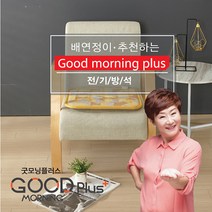 한일의료기 배연정 전기온열방석 전자파차단, 450*450mm