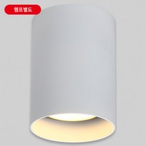 일신 직부등 원통파30 노출형 백색 직부형 비츠온