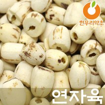 깐연자육 1200g 연자육밥 연씨 연밥 연꽃씨 효능, 깐연자육1200g
