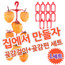 DIY 셀프 집에서 곶감 만들기 말리기 건조 반건조 건시 반건시 곶감걸이 세트, 1세트 (곶감 10개 가능)