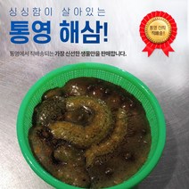 최상급 통영 해삼 봉 300g 생물 봉지해삼 소량판매 마트봉 간편손질, 대 500g