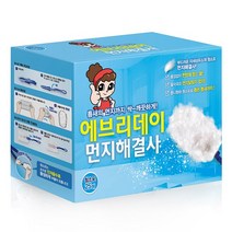에브리데이 먼지해결사 차량용먼지털이 자동차먼지털이 차량실내먼지 리필25매+핸들1개
