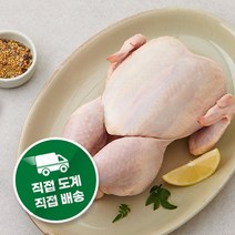 퍼스트픽 국내산 초신선 육계 생닭 초신선 도계장 직송 육계 직접도계 직접배송, 13호