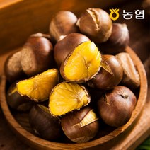 [자연맛남] 농협선별 부여 알밤 2kg 특 (1kgx2망), 단품