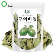 오허브 구아바잎 구아바차, 1봉, 100g