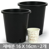 중형 플라스틱 재배분 19 X 21cm - 원형 화분 플분 녹차 양란 난화분 란화분 난재배분 양란화분 난재배 녹차재배분 긴화분, 02_청운_재배분(5호) X 2개
