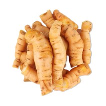 동의한재 특특대 국산 세척 햇 생지황 300g, 1개