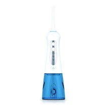 다덴픽 실속형 구강세정기 300ml 휴대용 FC159 블루, FC159 휴대용 블루