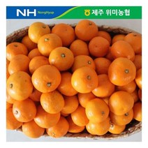 제주 위미농협 노지 감귤 10kg/일반