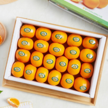 제주 고당도 선별 불로초 감귤 3kg 설 명절 선물 세트 아이 간식 부모님 선물 귤 한박스 과일 선물, 상세페이지 참조