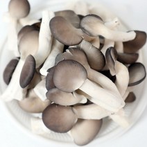 [모다온]행복푸드상자 국내산 생느타리버섯 2kg 산지 발송#1490EA, 쿠팡 아이스박스 포장, 쿠팡 본상품선택