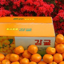 한라산농장 레드향 10KG 중과 44~56과 쿠폰가59840원 고당도, 한라산농장 귤 10KG 소중과 S (