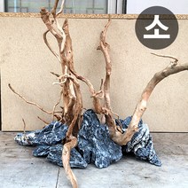 청룡석 [소] 2kg