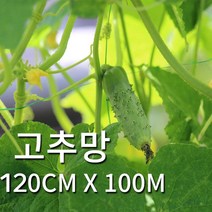 고추그물망 120cmX100m 오이그물망 고추망 원예망 농업용 농사 그물 망