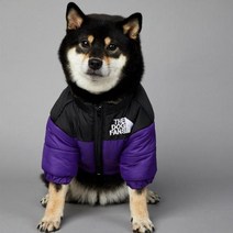 2023 SUPREPET패딩 개 겨울 옷 따뜻한 방풍 솔리드 코트 코튼 디자이너 대형 강아지 액세서리, 보라색+XXL