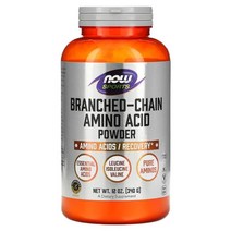 나우푸드 BCAA 분지쇄아미노산 파우더 분말 스포츠 리커버리 340g 류신 이소류신 발린