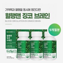 깜빡하는 습관 기억력 집중력 저하 두뇌 뇌 머리 혈액 혈관 혈행 순환 개선 관리 에 좋은 징코 은행잎 추출물 영양제, 3BOX(9개월분)