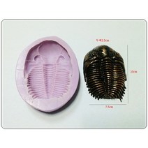 (할인)삼엽충 암모나이트(특대) 실리콘몰드, 삼엽충