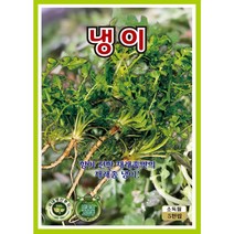 재래종 냉이씨앗 5000립