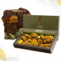 셀러허브 식품 [송일품] 말린 상황버섯 건재 선물 추천 350g 1개, 송일품약용버섯의 국산 명품 상황버섯