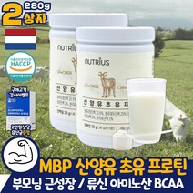 BCAA MBP 초유 산양유 단백질 농축 유청 분리 대두 단백 부모님 근성장 프로틴 아미노산 동물성 식물성 프로틴 아르지닌 류신 로이신 이소로이신 발린 40대 50대 60대 70대 어르신