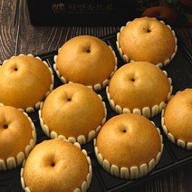하늘내린 나주 고당도 신고배 프리미엄, 가정용 2호 흠집배 5kg 11~12과