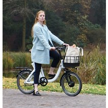 VOTANI Q3 경량 20인치 알루미늄 전기 지전거 전동 EBIKE, 골든 브라운