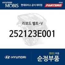 순정 겉벨트 팬벨트 (V 리브드 벨트) (252123E001)