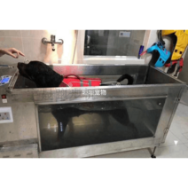 강아지수중런닝머신 물리치료기 헬스 치료 물리치료