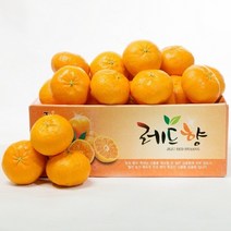 (롯데백화점)(넉넉) 제주 레드향 1KG 소과(04과-06과) 귤/감귤보다 레드향