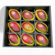 항공직송 당도보장 달콤한 브라질 애플망고, 2kg, 1개