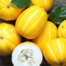 성주직송 제철과일 성주 참외 5kg, 5kg(11-20과내)