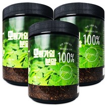 헬로우 그린 모링가 잎 파우더 분말 가루 180g, 3개 180g*3