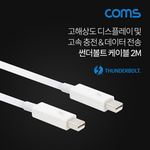 컴 썬더볼트 DP 충전 데이터 전송 케이블 2M LCBT721