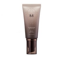 미샤 M 초보양 비비크림 SPF30 PA++ 50ml, 01. 17호 밝은베이지, 5개