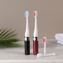 한정특가 치과전문브랜드로 원장님도 추천하는 국내최초 살균기 2in1 전동칫솔 (리필칫솔모 포함/건전지미포함), 블랙펄1+1