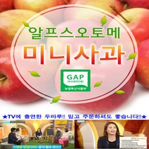 세척 알프스오토메(미니사과) 루비에스 제과점 데코용 2kg, 루비에스 로얄과(과실수24~32), 1개