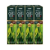 2080 해죽순 담은 염치약 플러스, 100g, 20개