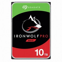 씨게이트 아이언울프 프로 10TB HDD 기업용 나스 서버 하드디스크