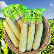 괴산대학 찰 옥수수 냉동 삶은 찐 옥수수, 대학찰옥수수(냉동)30개