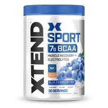 싸이베이션 엑스텐드 스포츠 BCAA 파우더 블루라즈베리맛 Scivation Xtend Sport BCAA Powder 345g, 1개, 1