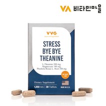 비타민마을 VVG 스트레스 바이바이 L-테아닌 1박스 1개월분, 상세페이지참조