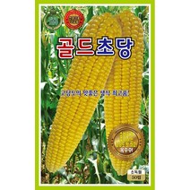 씨앗] 골드초당옥수수 50립