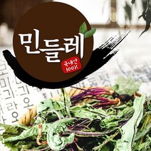 제천약초생활건강 민들레 200g, 1개, 제천약초생활건강민들레200g