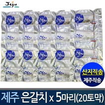 (산지직송) 명품 제주은갈치x5마리 (갈치20토막) 제주갈치, 1box