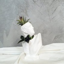 아트박스/모리아트 투우사 석고상화분 틸란드시아 론레어+모스+리본, 아폴로