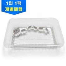 이노스팀연구소 재미있는 과학실험 자석오리가족