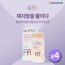 체지방 제지방 감소 다이어트 영양제 콜레우스 포스콜리 추출물 나이아신 배 뱃살 나오신 여성 분 낮은 기초대사량 증가 보조 건강 기능 식품, 4BOX(4개월분)