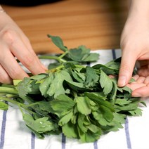 여수 햇 노지 방풍나물 1kg 2kg, 방풍 2kg